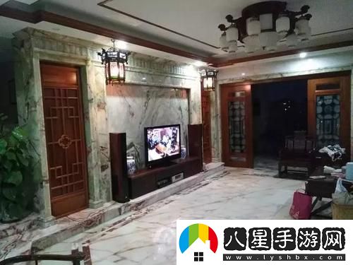 在姨母家的客廳