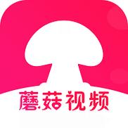 探索蘑菇視頻頁(yè)版入口怎么打開(kāi)的便捷方式